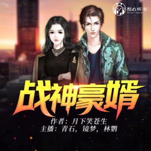 戰(zhàn)神豪婿