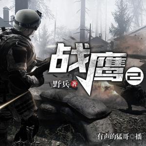 戰(zhàn)鷹2