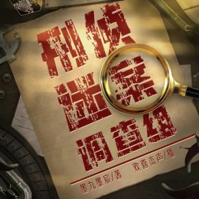 刑偵迷案調查組