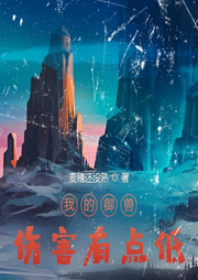 我的御獸傷害有點低