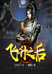飛升之后