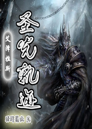 圣光照我魔獸之路