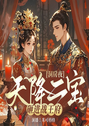 洞房夜，天降二寶砸進戰王府