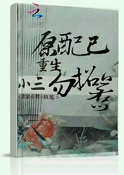 原配已重生小三勿招惹【智能語音錄制】