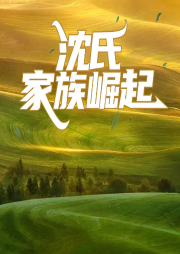 沈氏家族崛起