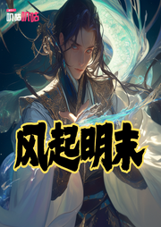 風起明末