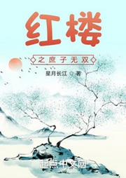 紅樓之庶子無雙