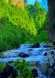 戰(zhàn)爭