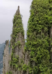 瑣碎