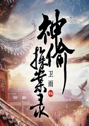 神偷探案錄