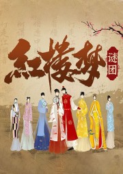 紅樓夢(mèng)謎團(tuán)：深度解析紅樓夢(mèng)