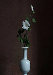 詩(shī)