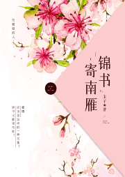 錦書寄南雁