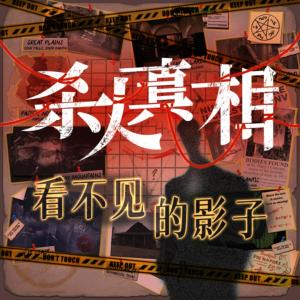 殺人真相：看不見的影子