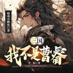 三國：我不是曹睿