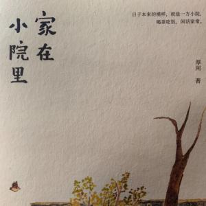 家在小院里