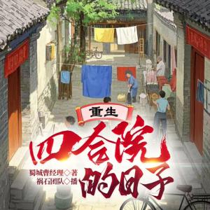 重生四合院的日子