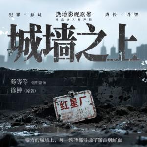 城墻之上